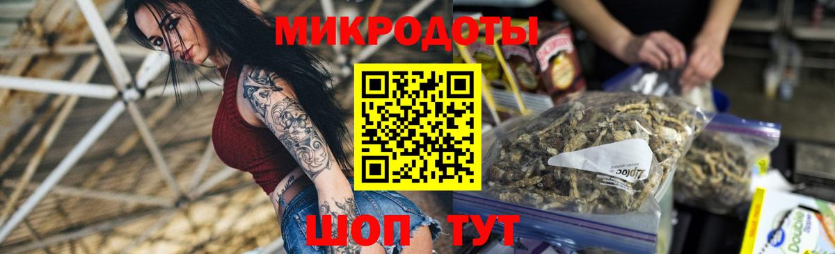 Псилоцибиновые грибы прущие грибы  Вход с VPN  Гатчина 